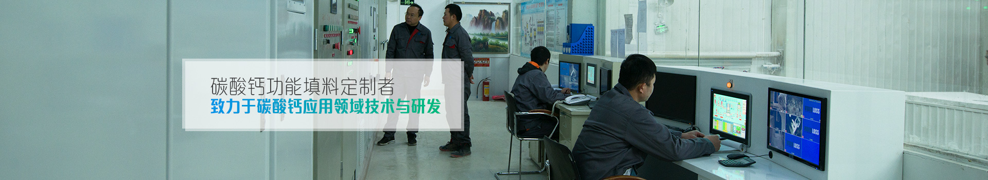 盛朗白石-碳酸鈣功能填料定制者